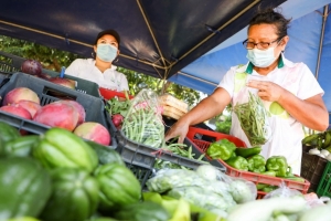 MAG promotes Women&#039;s Agromarket for the sale of fruits, vegetables and greens