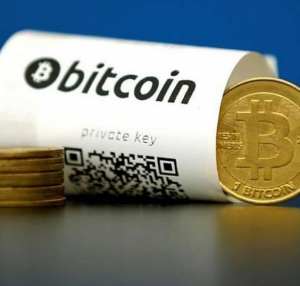Bitcoin bonds to be issued in the first 15 days of march: Alejandro Zelaya