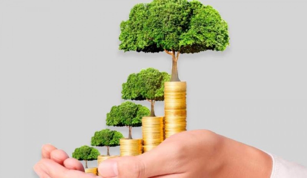 Corporación Multi Inversiones recibe premio por la colocación de US$700 millones en bonos verdes