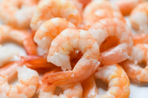 National marine shrimp ban begins to protect the species