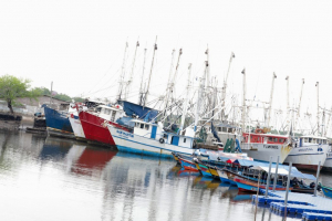 Directores de pesca del SICA revisan el acuerdo de comercio sobre subvenciones a la pesca
