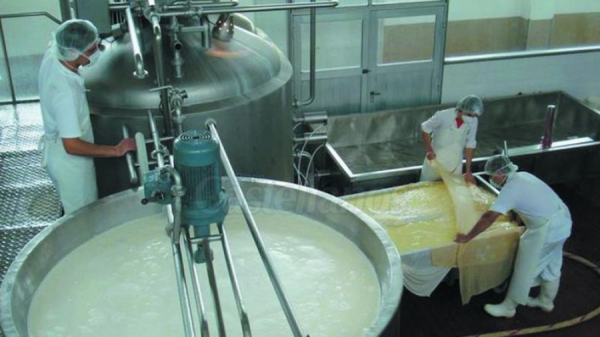MAG announces the upcoming operation of seven salvadoran dairy processing plants