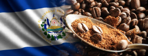 Coffee exports in El Salvador increase 572%