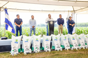 MAG to deliver agricultural inputs for more than half a million producers