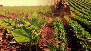 Ministro de Agricultura expuso en el IICA los objetivos impulsados por el “Plan Maestro de Rescate Agropecuario”