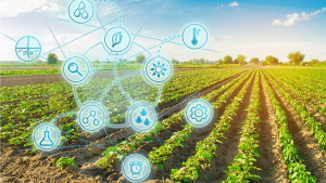 The inclusion of small producers is essential for the digital agri-food transformation