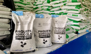 Más de 10 mil productores de Tacuba y Ahuachapán reciben paquetes agrícolas