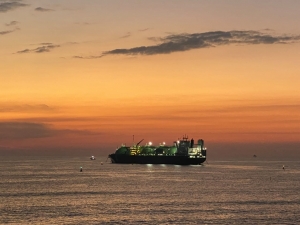 Tatiana vessel arrives in El Salvador to transport natural gas to the Central American region