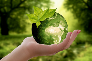 BCIE, comprometido con el medioambiente construye un futuro sostenible