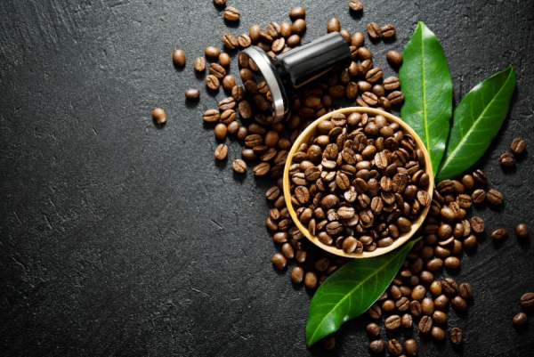 Agricultural Commission studies new regulations to strengthen the coffee sector