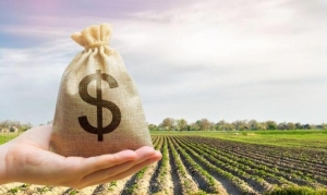 BANDESAL provides credit lines for the agricultural sector