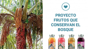 AJE se posiciona en CA con estrategia sostenible y bebida de súper frutos del bosque