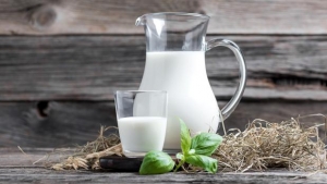 Leche DOS PINOS destaca el poder del consumo de los lácteos para una sana alimentación