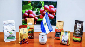 El Salvador obtains denomination of origin for five premium coffee brands