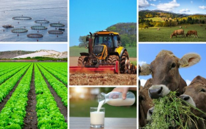 Bill seeks to create the National Agricultural Supply System